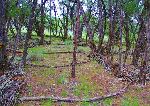 Texas Land Art